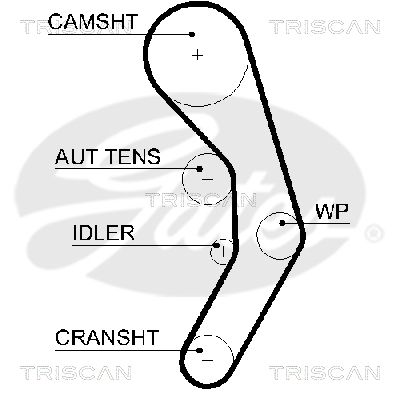 TRISCAN Vezérműszíj 86455601XS_TRIS