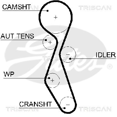 TRISCAN Vezérműszíj 86455606XS_TRIS