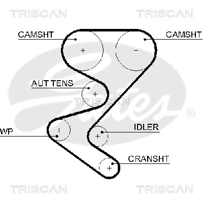 TRISCAN Vezérműszíj 86455608XS_TRIS