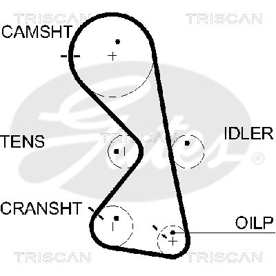 TRISCAN Vezérműszíj 86455609XS_TRIS