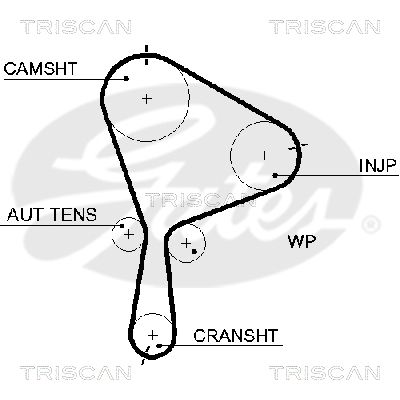 TRISCAN Vezérműszíj 86455610XS_TRIS