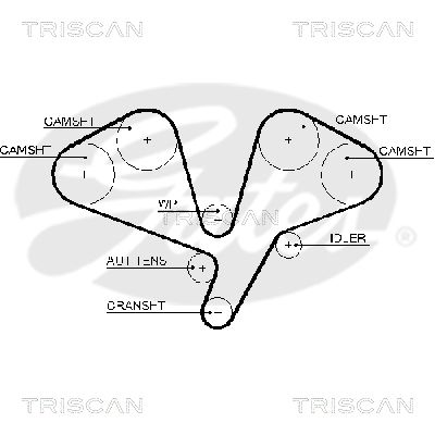 TRISCAN Vezérműszíj 86455611XS_TRIS