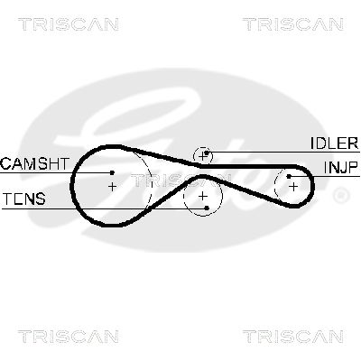 TRISCAN Vezérműszíj 86455613XS_TRIS