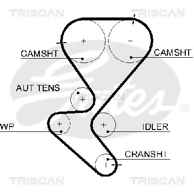 TRISCAN Vezérműszíj 86455615XS_TRIS