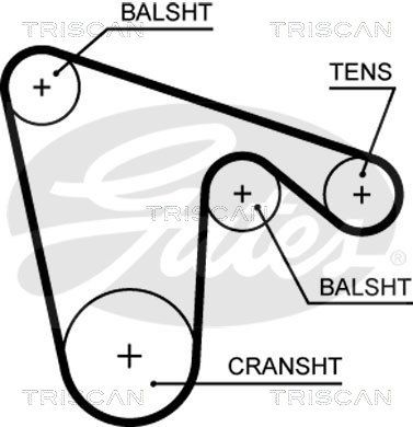 TRISCAN Vezérműszíj 86455619XS_TRIS