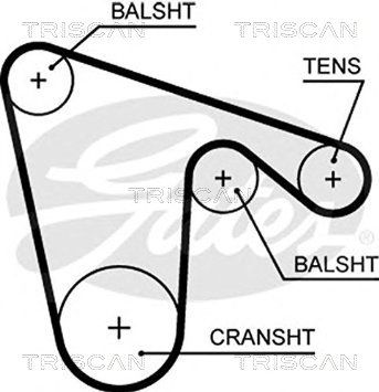 TRISCAN Vezérműszíj 86455620XS_TRIS