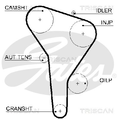 TRISCAN Vezérműszíj 86455622XS_TRIS