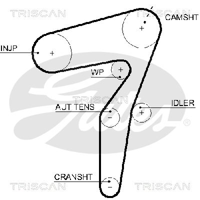 TRISCAN 86455623XS_TRIS Vezérműszíj