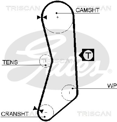 TRISCAN Vezérműszíj 86455626XS_TRIS