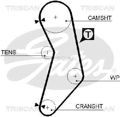 TRISCAN Vezérműszíj 86455627XS_TRIS