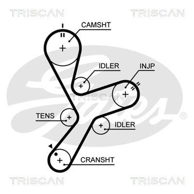 TRISCAN Vezérműszíj 86455641XS_TRIS