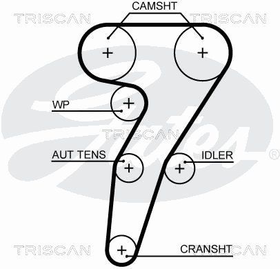 TRISCAN Vezérműszíj 86455653XS_TRIS