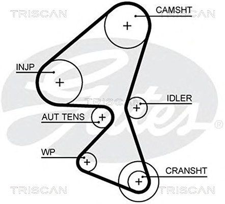 TRISCAN Vezérműszíj 86455657XS_TRIS