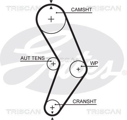 TRISCAN Vezérműszíj 86455662XS_TRIS