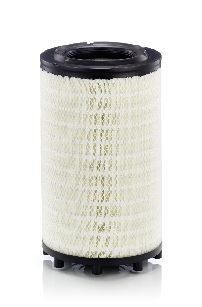 MANN-FILTER Levegőszűrő C31017_MANN