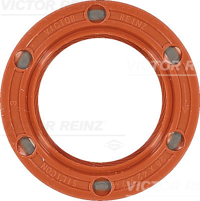 REINZ Szimmering 81-33653-10