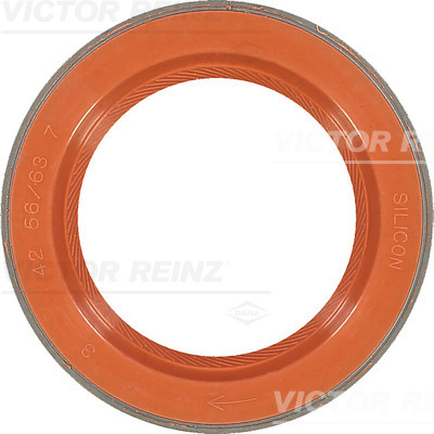 REINZ Szimmering 81-35876-00