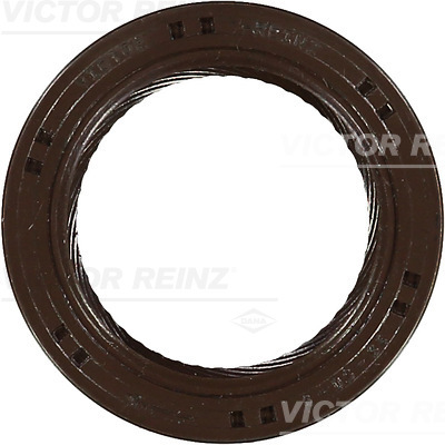 REINZ Szimmering 81-53246-00