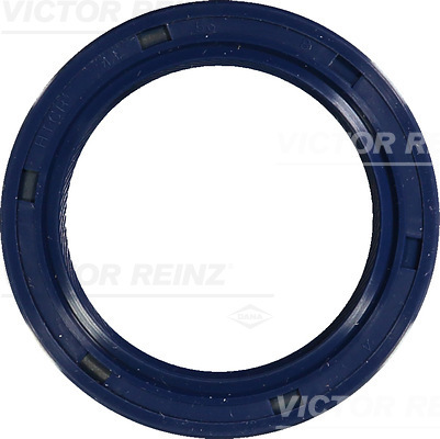 REINZ Szimmering 81-53774-00