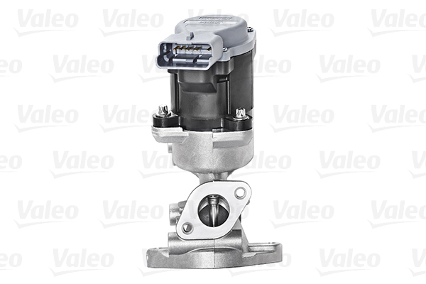 VALEO EGR szelep 700423_VALEO