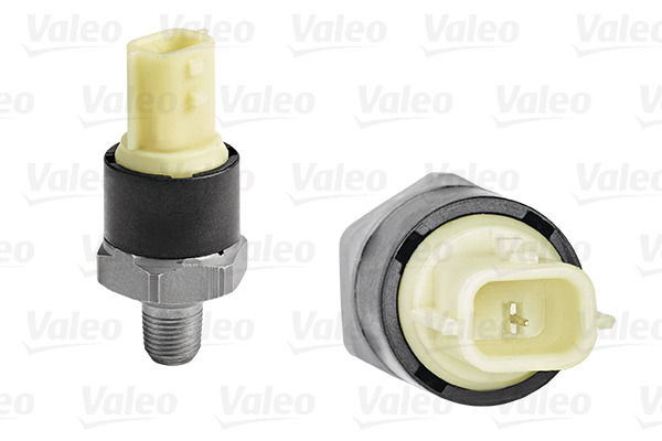 VALEO Olajgomba 255104_VALEO