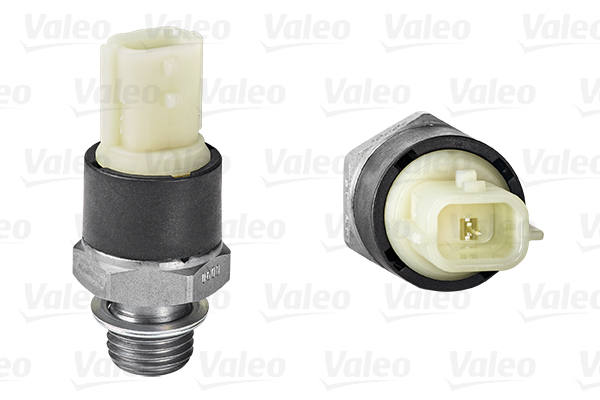 VALEO Olajgomba 255107_VALEO