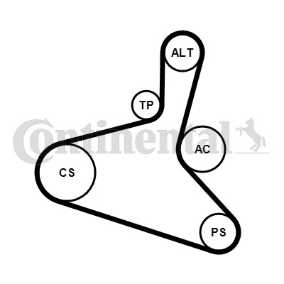 CONTITECH Hosszbordásszíj készlet 6DPK1195K2_CONTI