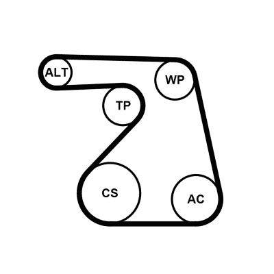 CONTITECH Hosszbordásszíj készlet 6PK1217K2_CONTI