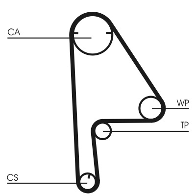 CONTITECH Vezérműszíj CT1081_CONTI