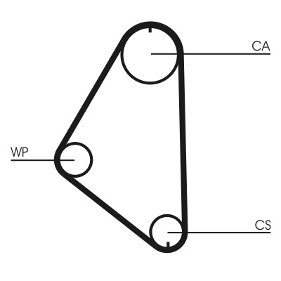 CONTITECH Vezérműszíjkészlet vízpumpával CT558WP1_CONTI