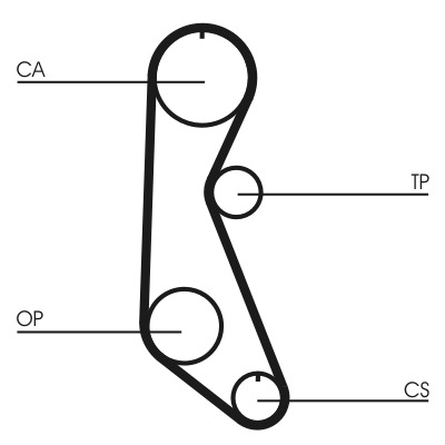 CONTITECH Vezérműszíj CT816_CONTI