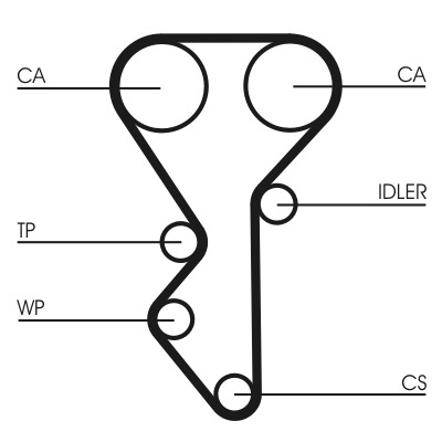 CONTITECH Vezérműszíjkészlet vízpumpával CT955WP1_CONTI