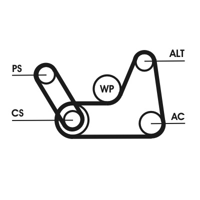 CONTITECH Hosszbordásszíj készlet 6PK1019ELASTT1_CONTI