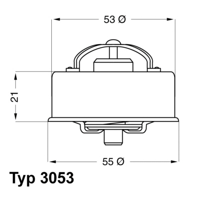 WAHLER Termosztát 3053.75_WAHL