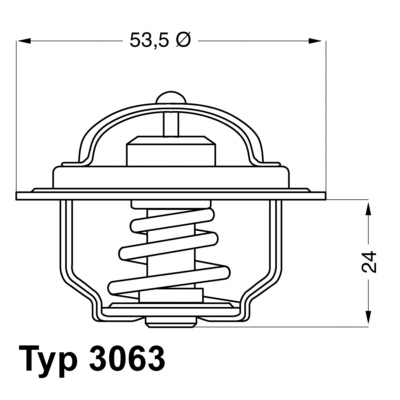 WAHLER Termosztát 3063.75_WAHL