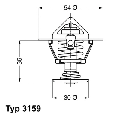 WAHLER Termosztát+O gyűrű 3159.82D_WAHL