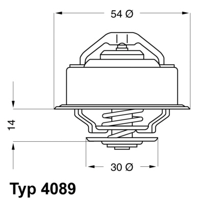 WAHLER Termosztát 4089.87_WAHL