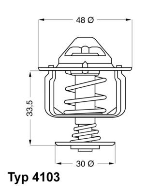 WAHLER Termosztát 4103.82D_WAHL