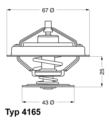 WAHLER Termosztát+O gyűrű 4165.79D_WAHL