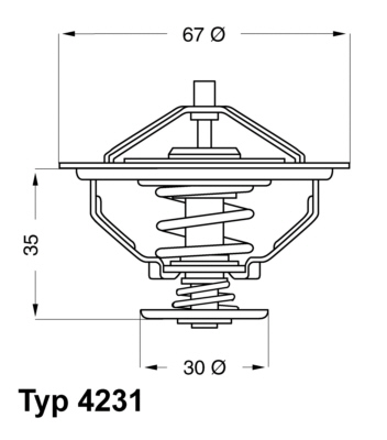 WAHLER Termosztát 4231.84D_WAHL