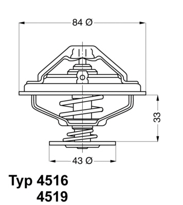 WAHLER Termosztát+O gyűrű 4516.85D_WAHL