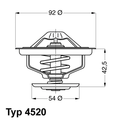 WAHLER Termosztát 4520.80D_WAHL