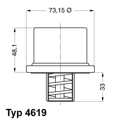 WAHLER Termosztát 4619.82_WAHL