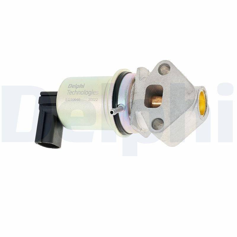 DELPHI EGR szelep EG10646-12B1_DEL