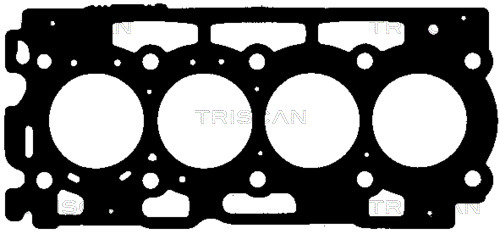 TRISCAN Hengerfej töm. 501-5595_TRIS