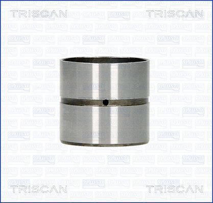 TRISCAN Hidrotőke 80-25005_TRIS