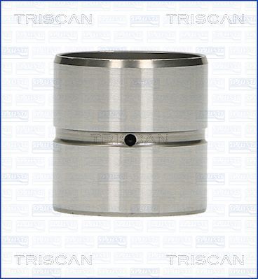 TRISCAN Hidrotőke 80-29001_TRIS