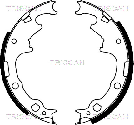 TRISCAN Fékpofa 810010001_TRIS