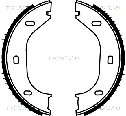 TRISCAN Fékpofa 810010290_TRIS