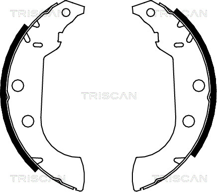 TRISCAN Fékpofa 810010489_TRIS